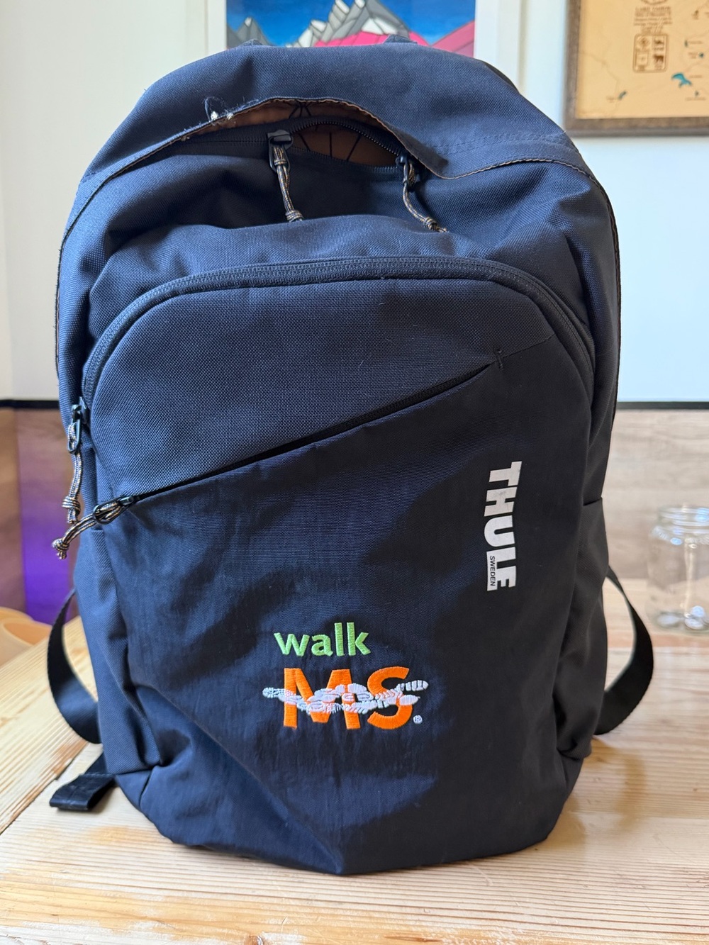 Black Backpack | Thule Indago - 23L